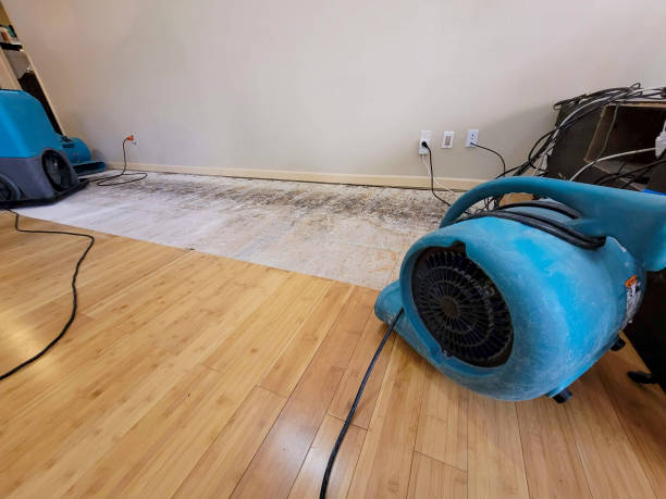 Professional Water Removal technician working in Norwalk, OH
